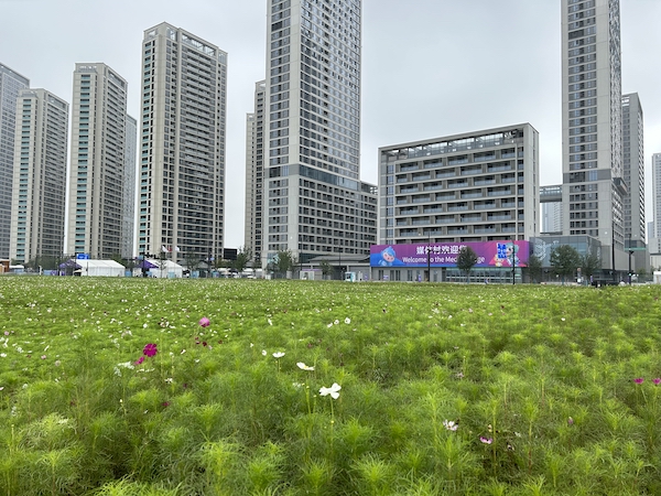 外媒记者盛赞杭州亚运会开幕式与城市魅力