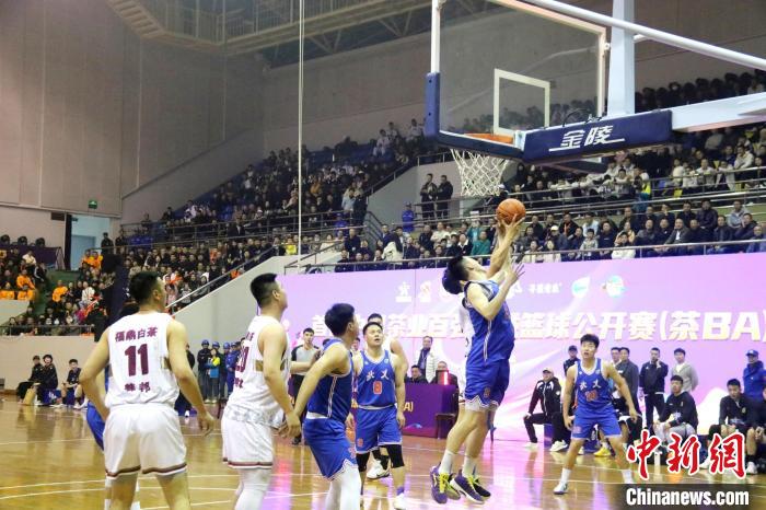 首届茶业百强县域篮球赛在福鼎启幕 茶与体育共